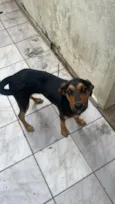 billy