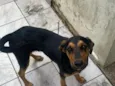 billy