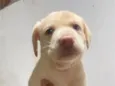 Zoe 