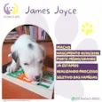 James Joyce