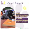 Jorge Borges