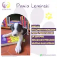 Paulo Leminski