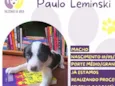 Paulo Leminski
