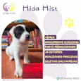 Hilda Hilst