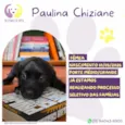 Paulina Chiziane