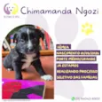 Chimamanda Ngozi