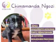 Chimamanda Ngozi