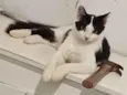 EMY