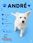 André
