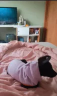 Coco Chanel 