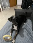 Sol 