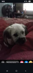 zig
