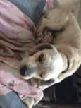 Bob