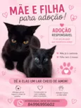 Emília e mel