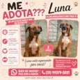 Luna
