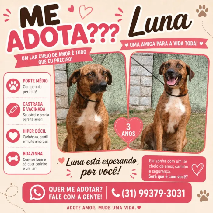 Cachorro raça SRD-ViraLata idade 3 anos nome Luna