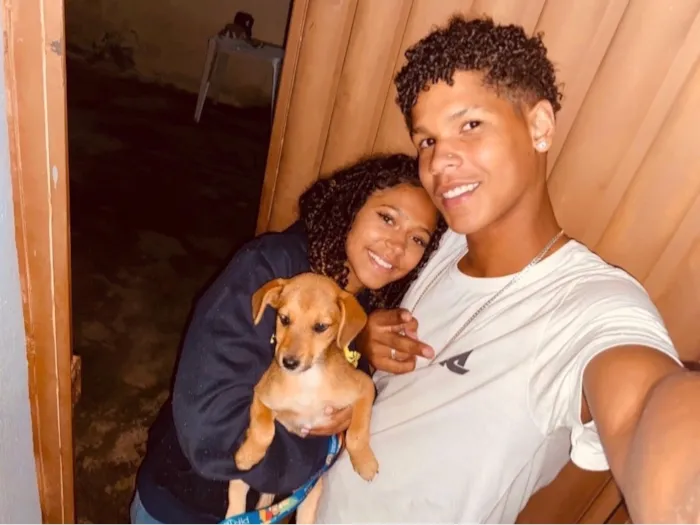Cachorro raça SRD-ViraLata idade 2 anos nome Sofia