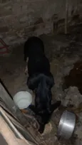 princesa e trovão 