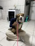 Kiara