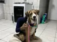 Kiara
