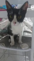 Frederico 