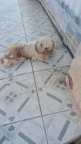 não sei