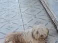 não sei