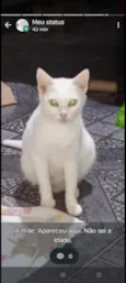 não sei o nome 