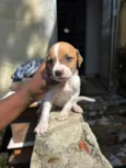 cloe( n nos referimos a ela com nome nenhum ) 