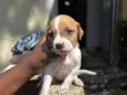 cloe( n nos referimos a ela com nome nenhum ) 