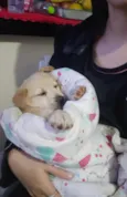 Sol