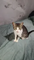 Mimi