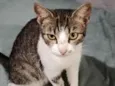 Mimi