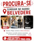 Ameixa e Maçã 