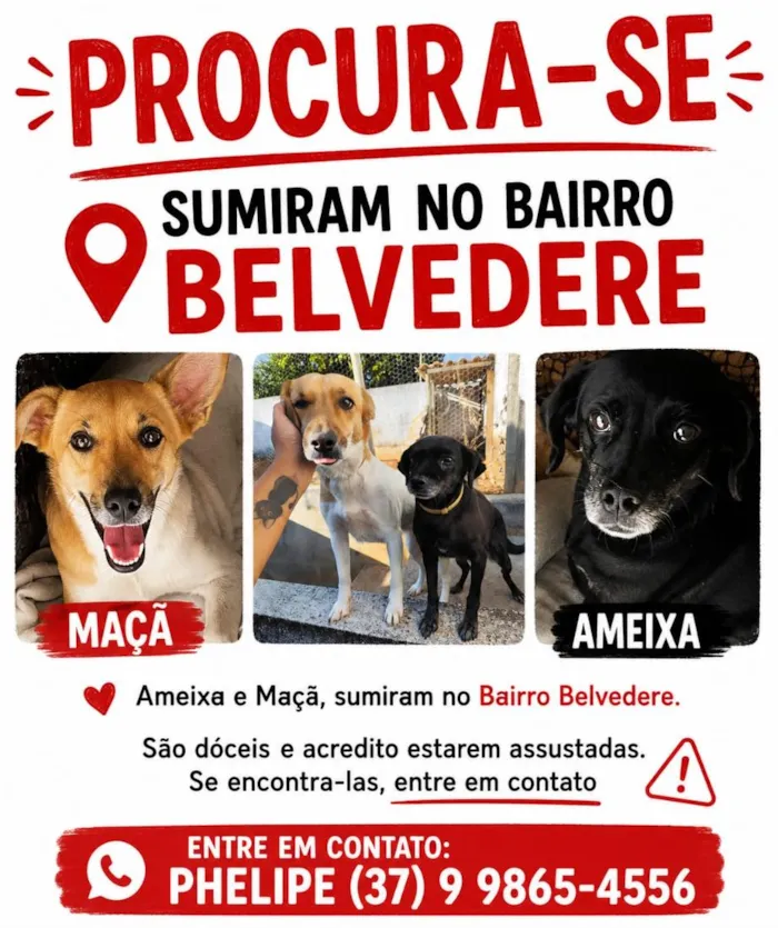 Cachorro raça SRD-ViraLata idade 2 anos nome Ameixa e Maçã 