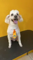 Snoopy