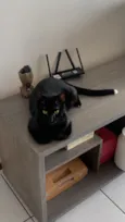 Junior