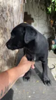 Tadeu