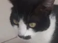 Tom 