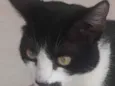 Tom 
