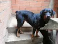 link 