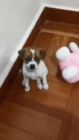 Zoé 