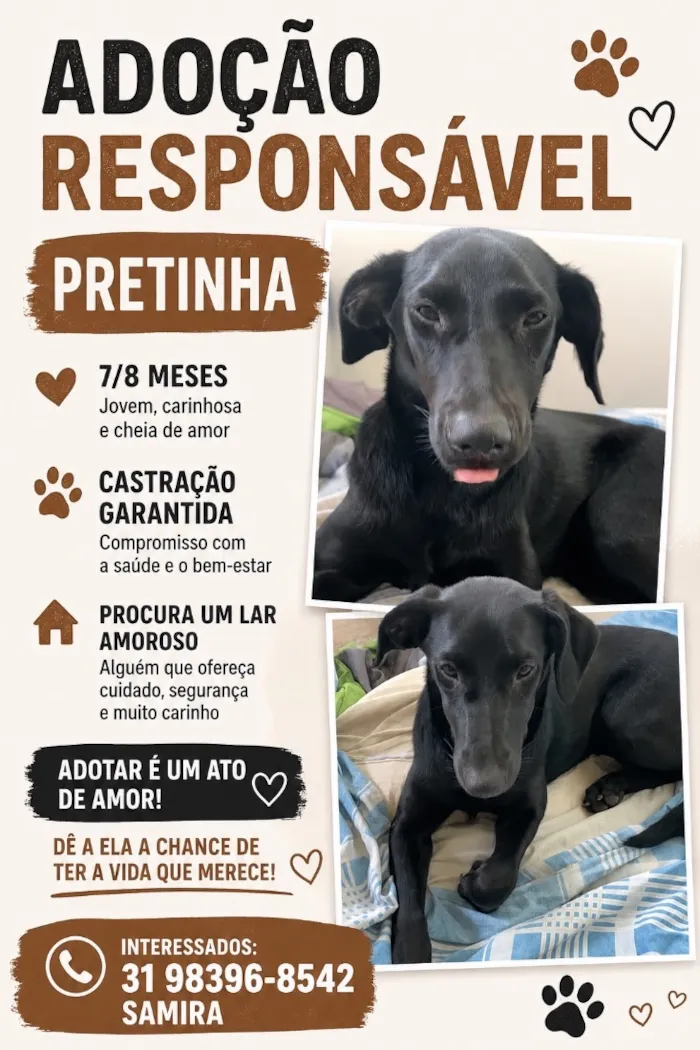 Cachorro raça SRD-ViraLata idade 7 a 11 meses nome Pretinha