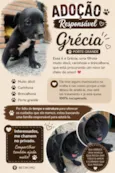 Grécia