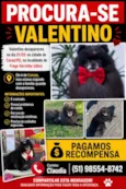 Valentino