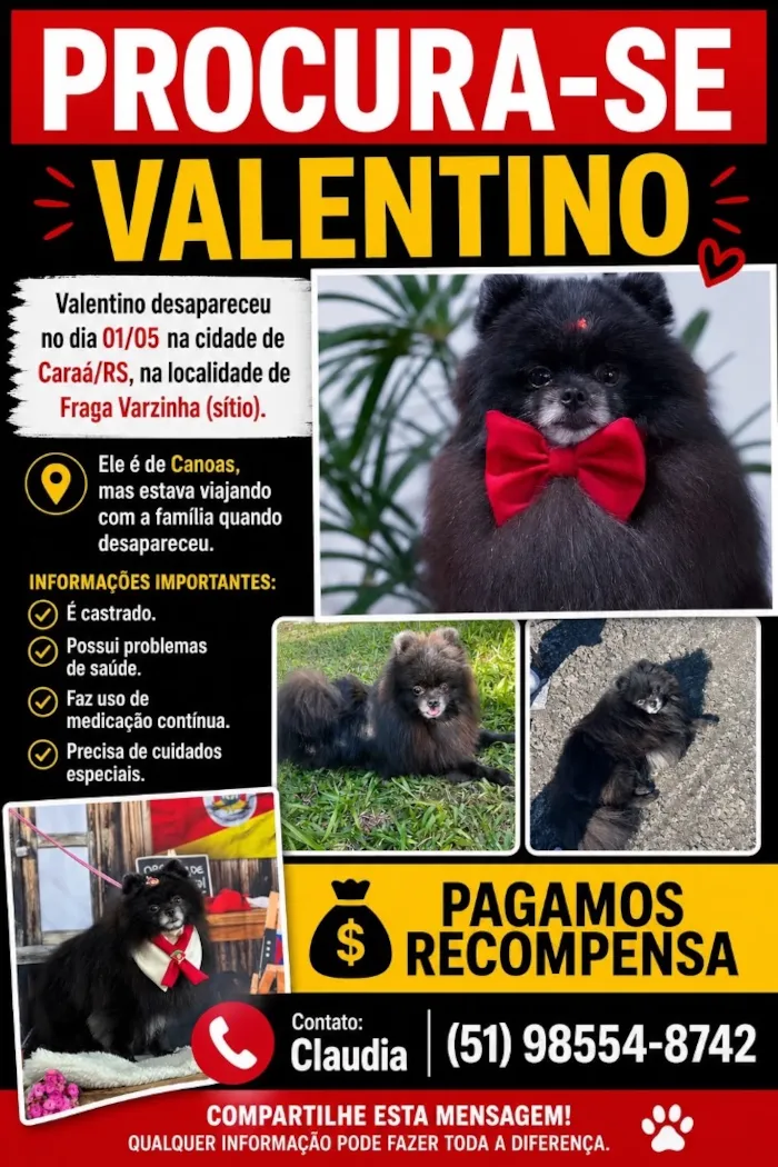 Cachorro raça SRD-ViraLata idade 2 anos nome Valentino