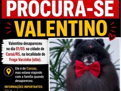 Cachorro raça SRD-ViraLata idade 2 anos nome Valentino