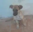 Max e duque