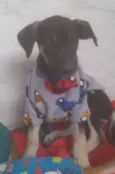 Max e duque