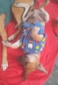 Max e duque